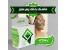 ماسک صورت برای جوش ( ماسک خاک رس سبز )