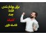 درآمد تضمینی(یک چمدان پول)