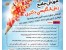 کلاس زبان آنلاین برای EPT, MSRT, MHLE, TOLIMO, UTEPT