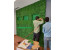 طراحی و اجرای دیوارسبزgreenwall ودیوار گل و فضای سبز مصنوعی