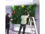 دیوارسبز،دیوارگل،فلاورباکس،فضای سبز با گلها و گیاههان مصنوعی با کیفیت