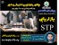 وبینار رایگان بازاریابی STP