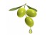 صادرات روغن زیتون ایران