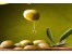 خریدعمده روغن زیتون شیراز خریدعمده روغن زیتون گلستان