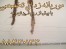 سمپاشی موریانه با مجوز وزارت جهاد کشاورزی