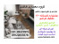 معماری و دکوراسیون داخلی -20% تخفیف تابستانه طراحی