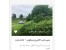 زمین 3500 متری در رشت دارای امکانات آب برق گاز تلفن واقع در طرح هادی