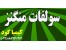 سولفات منگنز