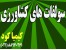 سولفات آهن- روی- مس –منگنز-اسید بوریک