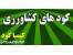 خریدار کود