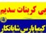 بی کربنات سدیم