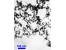 نانو اکسید سیلیکون (نانو سیلیکا ) Nano Silica