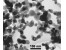 فروش نانو اکسید قلع Nano Tin Oxide