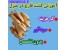 شغلی پردرآمد با پرورش و تولید قارچ - نسخه جدید