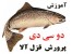پکیج طلایی آموزش پرورش ماهی قزل آلا و آزاد - کامل ترین مجموعه آموزشی در ایران