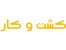 لجن کش دیانا